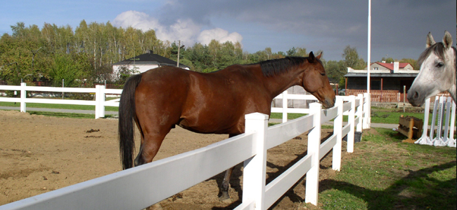 Ogrodzenia farmerskie PCV